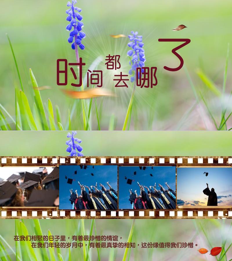 相册纪念-ppt模板-11